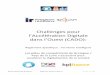 Challenges pour l’Accélération Digitale dans l’Ouest (CADO)...Les défis de l’édition 3 2018-19 sont proposés par les sponsors suivants : Dassault Systèmes, Bouygues Immobilier,