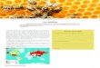 Astronomie Les abeillesdata.over-blog-kiwi.com/2/15/82/65/20181230/ob_2da582_abeilles-2018-2019.pdfSourate 16, An-Nahl C’est dans cette sourate qu’Allâh nous dit que « Quiconque,