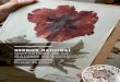 HERBIER NATIONAL · 2017. 1. 17. · ∕∕ 6 — découverte de l’herBier national Le Muséum national d’Histoire naturelle a la mission de conserver, enri-chir et valoriser