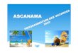 catalogue vacances 2020 - Net 15ascanama.kitasso.fr/userfile/documents/Vacances/Vacances 2020/c… · 4 PROGRAMMATION TYPE DESTINATION PERIODE 2020 NOMBRE DE JOURS LIEUDE DEPART AUTOTOUR
