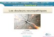 Les douleurs neuropathiquessf3pa-congres.com/wp-content/uploads/2019/01/CAPRIZ-HA1...Les douleurs neuropathiques chroniques : diagnostic, évaluation et traitement en médecine ambulatoire