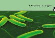 Microbiologie · 2020. 6. 25. · Microbiologie. n . Programme Réf.: BAC.W 149. n Objectifs. Remise à niveau des connaissances de bases en bactériologie médicale Conduite et interprétation