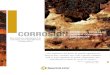 CORROSION MARQUAGE ROUILLE DE SURFACE CORROSION …La corrosion peut débuter dans des endroits cachés comme des joints, des chevauchements, par les fermetures et l'intérieur d'où