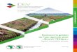 Renforcer la gestion de l’eau agricole pour « Nourrir l’Afriqueidev.afdb.org/sites/default/files/documents/files... · 2020. 5. 29. · la Banque notamment sa stratégie pour