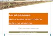 Le plessage - Overblogdata.over-blog-kiwi.com/0/50/38/70/201304/ob_0c8ac7...Le plessage de la haie champêtre – Maison Botanique -- 2012 - Page 4 Le plessage, clôture vivante Le