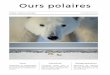 Ours polaires - BRUNO FOUILLAT polaires.pdf · En immersion avec les ours polaires Jour 6 Le vol de Churchill à Winnipeg est à 21h10. Les chambres doivent être libérées le matin