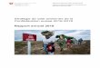 Stratégie de lutte antimines de la Confédération suisse 2016 …...2019/04/03  · sous-munitions est tenue, il sera très important de nouer le dialogue avec les acteurs armés