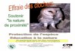 Terroir et Nature en Yvelines · 2017. 2. 19. · La Chouette effraie est connue pour avoir la capacité de produire 2 nichées par an, les « bonnes années », c’est-à-dire environ