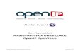 Configuration Alcatel OmniPCX Office (OXO) OpenIP OpenVoicewiki.openip.fr/lib/exe/fetch.php?media=sip_trunk_touch:...Configuration OpenIP OpenVoice / Alcatel OmniPCX Office Page 2