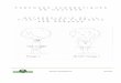 Présentation du perçage méthodologieDVmai13 · 2018. 10. 1. · Fixation de structures dans les arbres Présentation de la méthode par perçage Version 15 mai 2013 Michel Drouard