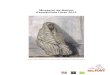 Musée(s) de Belfort Expositions Hiver 2012 · 2012. 9. 15. · LA PROGRAMMATION 2012 La programmation 2012-2013 est une invitation. Cette invitation au voyage commencée par l’exposition