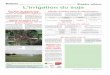 Grandes cultures L’irrigation du soja · 2017. 10. 10. · ment aux arrosages trop précoces qui pourront provoquer des excès de vé-gétation au détriment des gousses et augmenteront