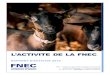 ACTIVITE DE LA FNEC - ASSEMBLEE · LE DECRET OP La FNEC a travaillé sur un projet de décret OP caprin qui définit les règles que devront respecter les Organisations de Producteurs