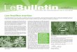 o Le AUTOMNE 2008 Bulletin - MRC Memphremagog€¦ · les gains environnementaux, la contribution de la forêt privée et le soutien du milieu. La récolte s’ins-crira dans le maintien