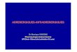 PHARMACOLOGIE DU SYSTEME ADRENERGIQUE0612062clement.ad.free.fr/fac/pharmaco/diapos.pharmaco3... · 2007. 12. 9. · PHARMACOLOGIE DU SYSTEME ADRENERGIQUE STIMULATION DES Rc ββββ