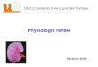 UE Physiologie 2ème année de Pharmacie©nale-IFSI... · Fonctions du rein. 12ème côte Anatomie fonctionnelle reins 150 g /rein ... (pelvis) Papille Uretère Colonne rénale (de