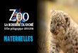 maternelles - Zoo La Boissière du Doré · 2016. 1. 20. · T A R I F S Enfant 9€ Accompagnateur gratuit 1 pour 5 Accompagnateur supplémentaire 16€ La R E N S E I G N E M E