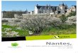 Nantes, · La Ville de Nantes est la première ville française à obtenir le titre de « Capitale Verte Européenne » 2017 : Deuxième au top 10 des villes les plus vertes de France