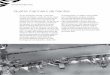 Quatre mariniers de Nantesexcerpts.numilog.com/books/9782842382032.pdfnantes histoires d’eau Ci-contre : le pont de Pirmil écroulé en mai 1924. En haut : quatre mariniers en plein