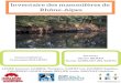 Inventaire des mammifères de Rhône-Alpes · 2020. 1. 28. · Les seules données disponibles sur ces mailles provenaient d’observation par des particuliers. Cet atlas dispose
