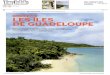 5 RAISONS DE VENDRE LES ILES DE GUADELOUPE · due de mer comprise, au nord, entre les deux ailes for mées par les îles de Guadeloupe. C’est le domaine de la mangrove, protégée