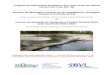 Programme pluriannuel de gestion des cours d'eau du bassin ... · GéoDiag / SBVL/ Résumé non technique 1 Préambule En application de l'article L211-7 du code de l'environnement,