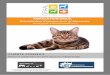 Adopter un chat de laboratoire : quelques conseils · Placez la caisse de transport dans une pièce calme, où se trouveront aussi ses gamelles, un lieu de couchage, ainsi qu'une
