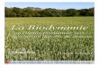 La Biodynamie - A2C le site de l'agriculture de conservation..."Aucune activité, pas même la médecine, n'a autant d'importance pour la santé de l'homme que l'agriculture" Pierre