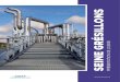 SEINE GRÉSILLONS - Les relations internationales · Ce document de référence permet à la France de décliner, en termes d’objectifs et de moyens, la politique de l’eau décidée