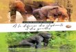 À la défense des éléphants LE ZOO DE GRANBY AU …...Les gorilles du parc sont à risque de par la pression engendrée par les activités humaines. Ils sont ainsi menacés par