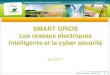 SMART GRIDS Les réseaux électriques intelligents et la cyber … · Les réseaux électriques intelligents et la cyber sécurité Juin 2011. Technologies de l’information et développement