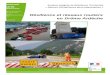 Département Risques Résilience et réseaux routiers en ...wiklimat.developpement-durable.gouv.fr/images/c/c1... · AIRT « Démarche REX Catastrophes » – résilience et réseaux