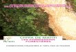 CFPPA DE MATITI LES FORMATIONS FORESTIÈRES · 2017. 4. 27. · CONDUITE D’ENGIN (CACES) PUBLICS Salariés forestiers OBJECTIFS-Etre capable de conduire et de participer à la maintenance