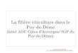 La filière viticulture dans le Puy-de-Dôme · 2020. 6. 10. · d’un volcan. Terroir : Un sol argilo-calcaire au sud et basaltique au nord avec des affleurements de pouzzolane