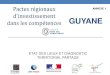 GUYANEguyane.dieccte.gouv.fr/sites/guyane.dieccte.gouv.fr/IMG/pdf/annexe_… · Enquête emploi en continu en Guyane - INSEE Le halo autour du chômage, qui représente 16 % des personnes