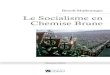 2 Le Socialisme en Chemise Brune - Institut Coppet remuaient la soci£©t£© allemande avant que le national-socialisme