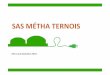 SAS MÉTHA TERNOISdraaf.hauts-de-france.agriculture.gouv.fr/IMG/pdf/SAS...GÉNÈSE Clim Agri Ternois : Réduction GES d’origine agricole de 30% d’ici 2020 Fiche Métha Moyen pour