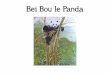 Bei Bou le Pandaecoleclaudiusfournion.fr/wp-content/uploads/2020/05/...Les pandas ne vivent pas en famille. Le mâle vit solitaire, tandis que la fernelle garde son bébé jusqu'à