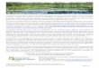 Une étude pour mieux comprendre les étangs de Sologne ...cen-allier.org/wp-content/uploads/Etude_CENAllier_2017...biodiversité, soit des zones abritant une faune et une flore jugée