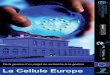 EUROPE - AMUE...‘Certificate on the Methodology for actual personnel costs and indirect costs.’. Ref number: 169 - Ref. Ares (2010) 450054- ... gestionnaire de contrats européens
