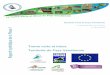 Rapport synthétique de la Phase Territoire du Pays Vendômoispays-vendomois.org/.../file/rapport-de-synthese-trame-verte-et-bleue.… · La mise en place de la Trame Verte et Bleue