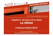 Chapitre 8 : Structure de la cellule La mitoseunf3s.cerimes.fr/media/paces/Grenoble_1112/seve_michel/... · 2013. 10. 16. · Professeur Michel SEVE Année universitaire 2011/2012