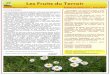 Les Fruits du du Terroir/FT... Les Fruits du Terroir Bulletin de liaison N 9 - mars 2016 Le mot du Pr£©sident