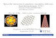 1Spin-orbit interaction in graphene, nanotubes, fullerenescoqusy06/SLIDES/huertas-hernando.pdf1Spin-orbit interaction in graphene, nanotubes, fullerenes Graphene week-MPI PKS Dresden