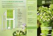 Les serres de collection des Jardins suspendus Informations … · 2020. 8. 28. · jardin d’essais. Ici, le savoir-faire des jardiniers se révèle à travers leurs essais de nouvelles