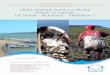 en Nouvelle-Calédonie Quel avenir pour la pêche dans le lagon de … · 2016. 1. 14. · recherche pour l’exploitation de la mer (Ifremer). L’IFRECOR, représentant local pour