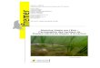 Directive Cadre sur l’Eau : Cartographie des herbiers de ......7 1. Introduction La Directive Cadre sur l’Eau (DCE) 2000/60/CE établit un cadre pour une politique communautaire