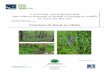 Inventaire complémentaire des Milieux Naturels d’Intérêt ...€¦ · Inventaire complémentaire des milieux naturels d’intérêt écologique de la commune de Noyal-sur-Vilaine