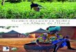 Gestion des parcs à karités en Afrique de l’Ouest - CECI · 2017. 6. 20. · Remerciements Gestion des parcs à karités en Afrique de l’Ouest - L’ exemple de la coopérative