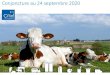 Conjoncture au 24 septembre 2020...2020/09/24  · Note de conjoncture - septembre 2020 3 • La collecte cumulée des grands bassins laitiers exportateurs* s’aroît fortement en